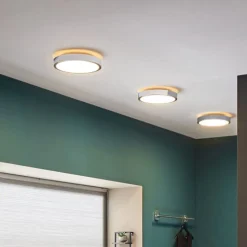 Paulmann Aviar LED-loftlampe, 2.700 K Ø 30 cm krom