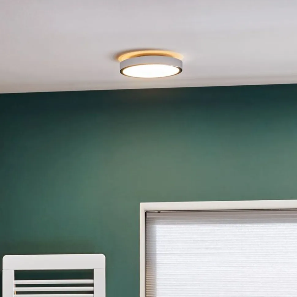 Paulmann Aviar LED-loftlampe, 2.700 K Ø 30 cm krom