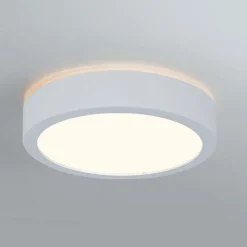 Paulmann Aviar LED-loftlampe Ø 22 cm hvid 3.000 K