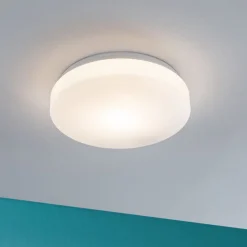 Paulmann Axin loftlampe IP44 med E27 fatning