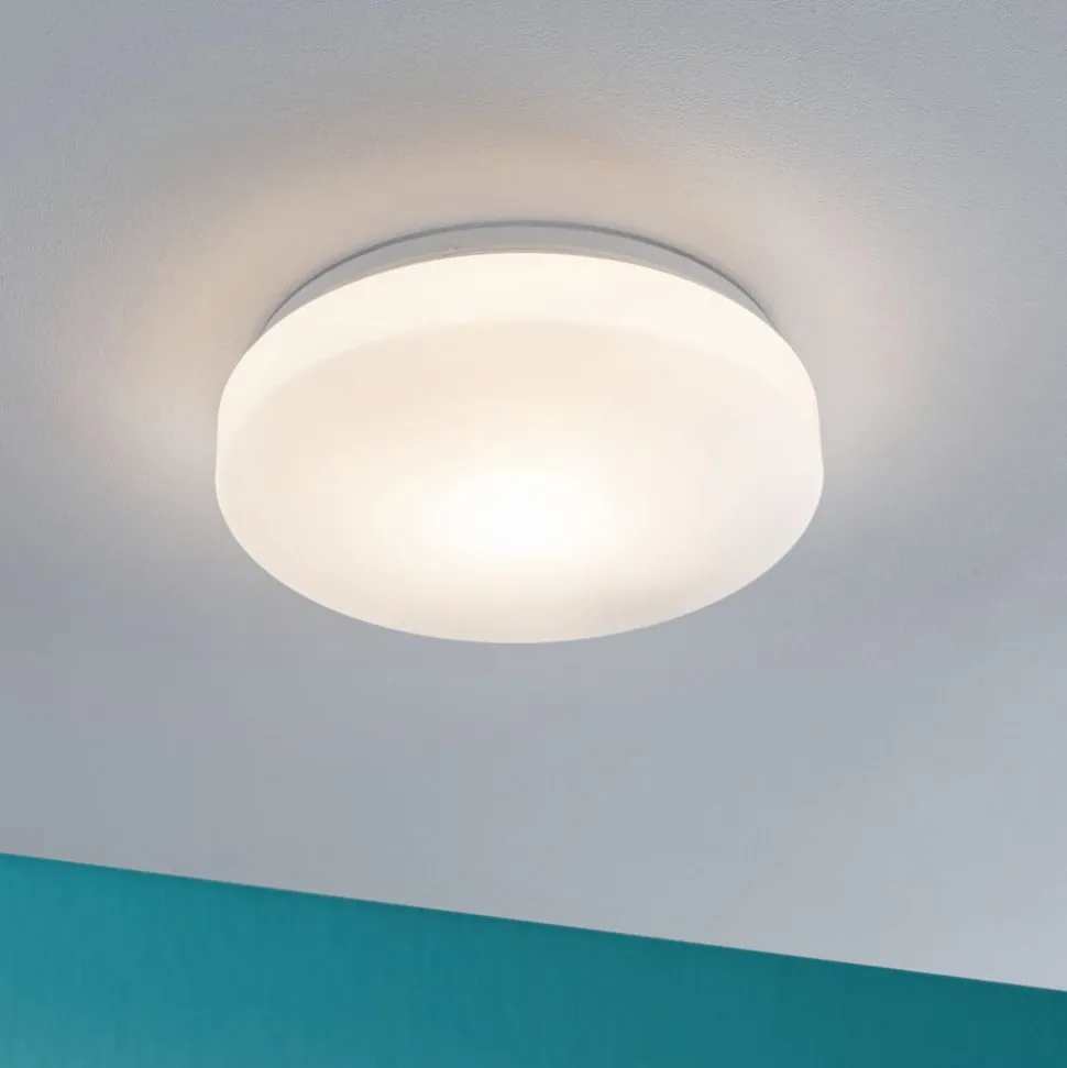 Paulmann Axin loftlampe IP44 med E27 fatning