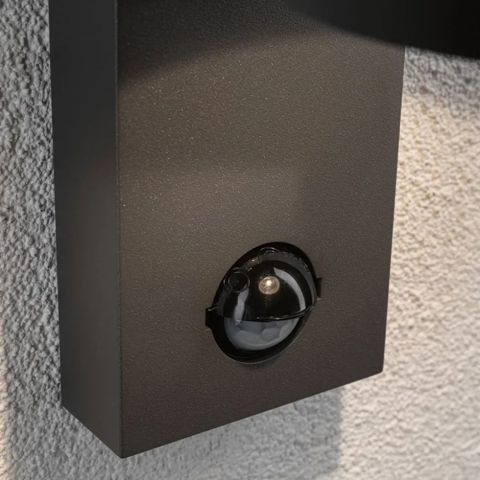 Paulmann Capea udendørs LED-væglampe med sensor