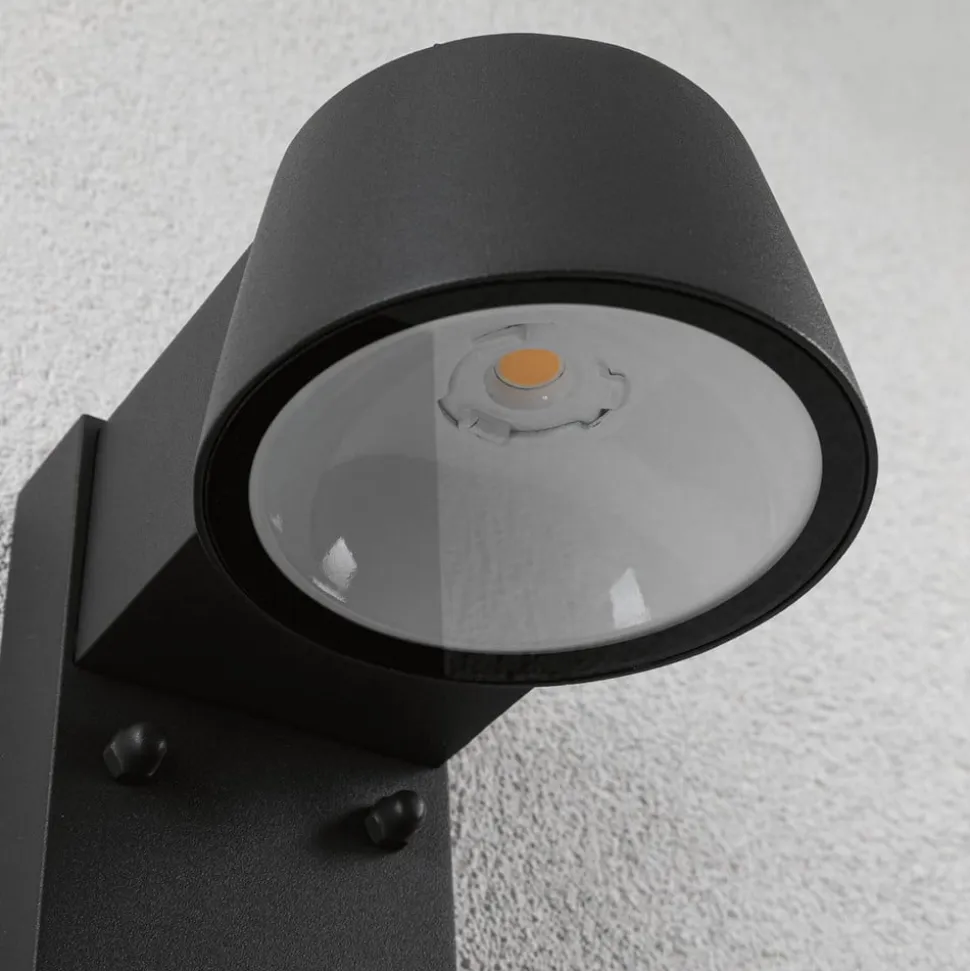 Paulmann Capea udendørs LED-væglampe med sensor