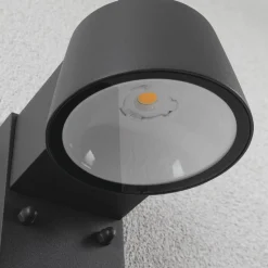 Paulmann Capea udendørs LED-væglampe, antracit, aluminium