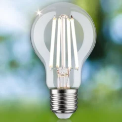 Paulmann Eco-Line LED-pære E27 4 W 840lm 4.000 K