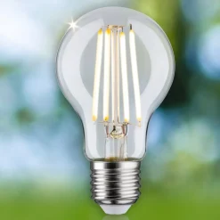 Paulmann Eco-Line LED-pære E27 2,5 W 525lm 3.000 K