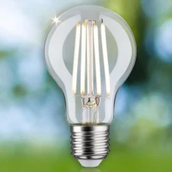 Paulmann Eco-Line LED-pære E27 2,5 W 525lm 4.000 K