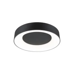 Paulmann HomeSpa Casca loftlampe Ø40cm sort
