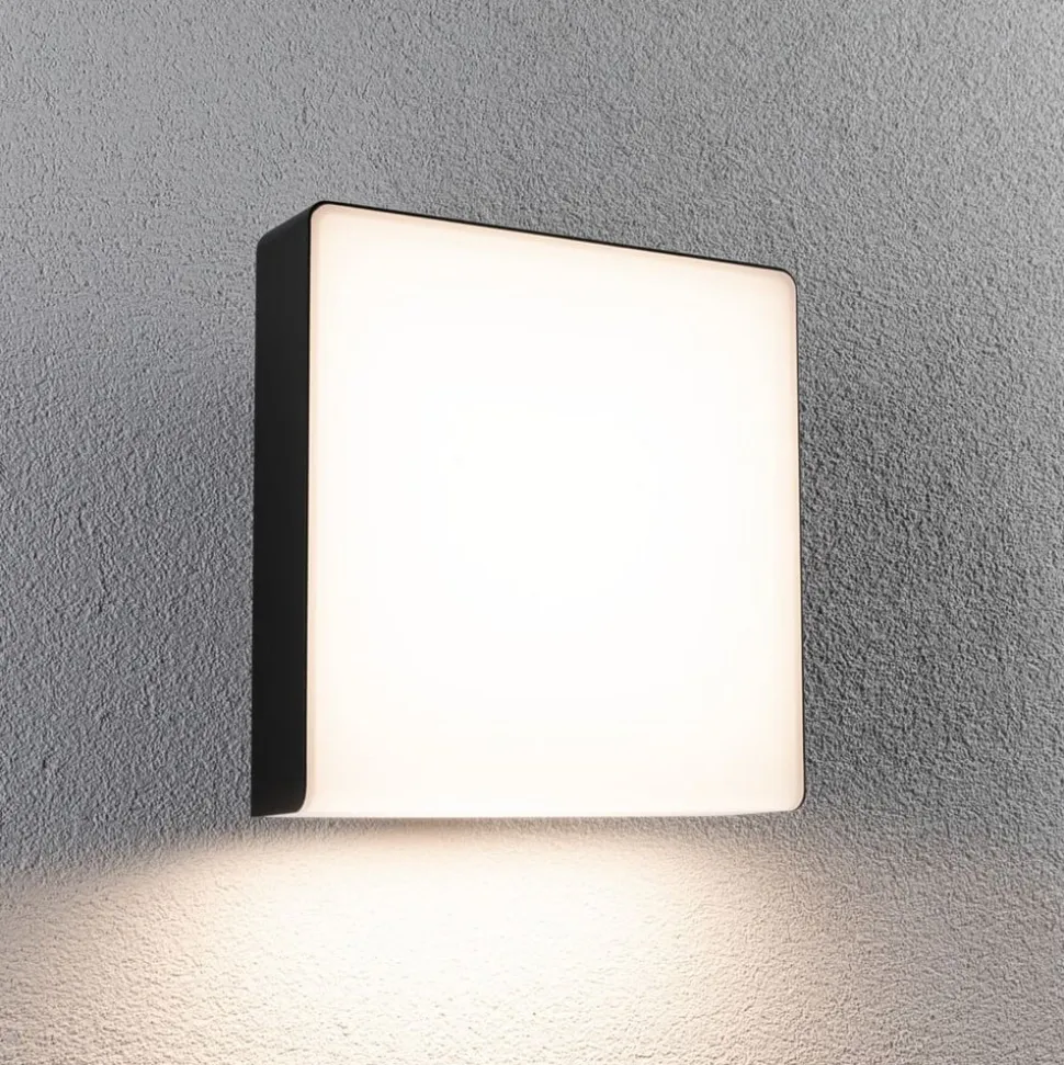 Paulmann LED udendørs væglampe Azalena, sensor, antracit