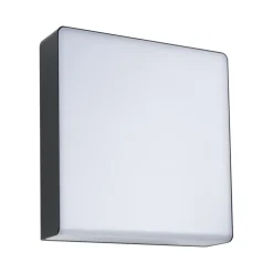 Paulmann LED udendørs væglampe Azalena, sensor, antracit