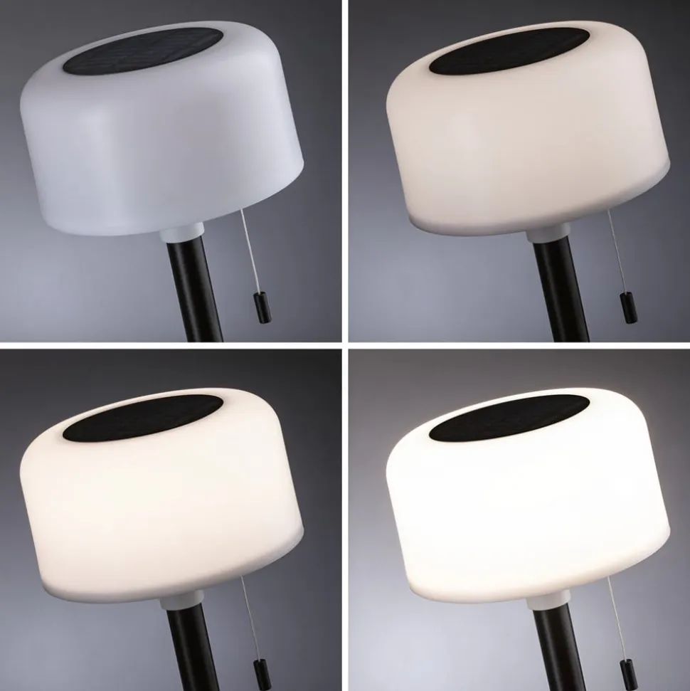 Paulmann LED-solcellelampe Bartja, sort, IP44 dæmpbar