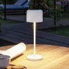 Paulmann LED-solcellelampe Else, hvid, IP44, dæmpbar