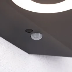 Paulmann LED-væglampe Silma antracit 2 lyskilder IP44