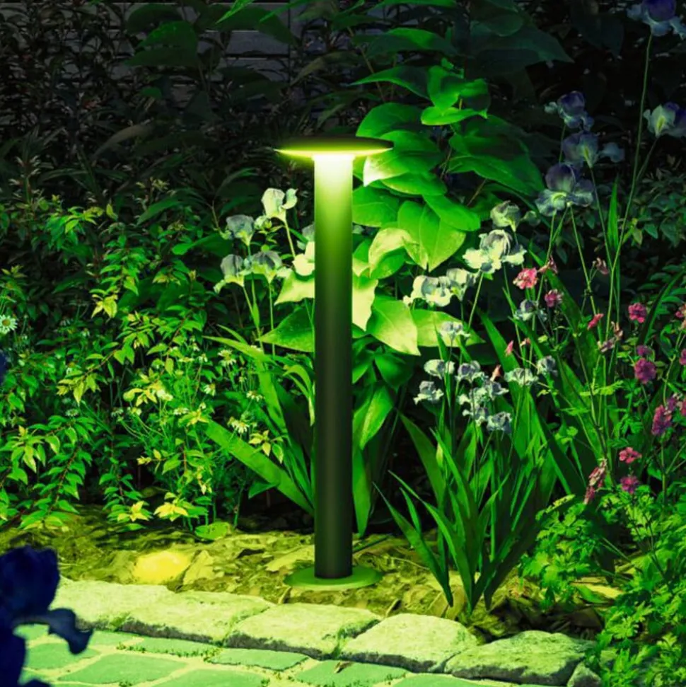 Paulmann Plate ZigBee RGBW LED justerbar lampe