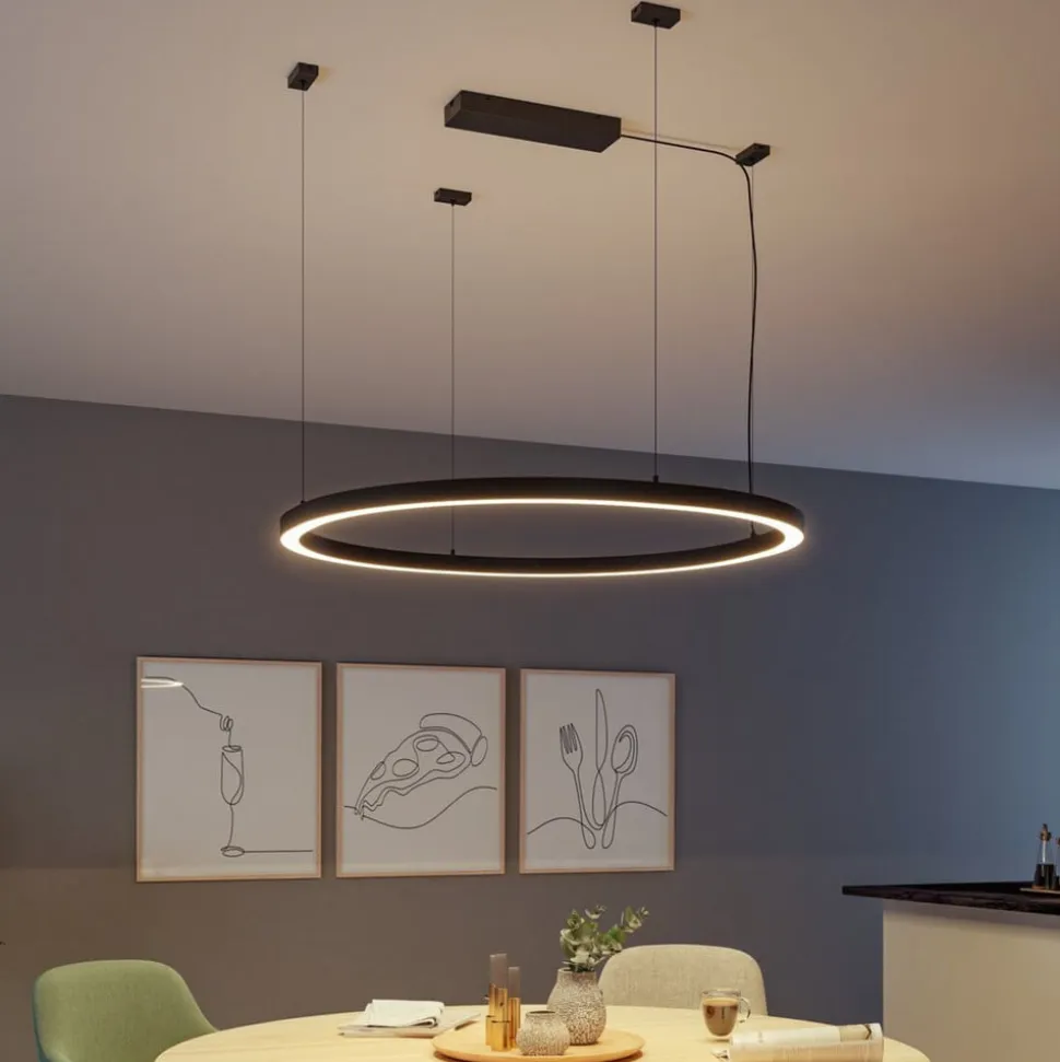 Paulmann strømforsyning Power Box Linion sort ZigBee 230/24V