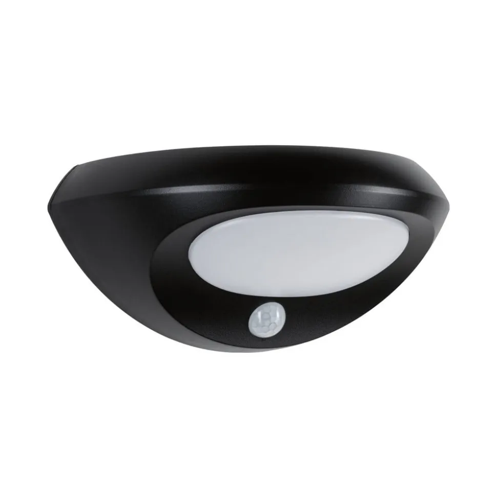 Paulmann udendørs LED-væglampe Sorova, sensor, antracit