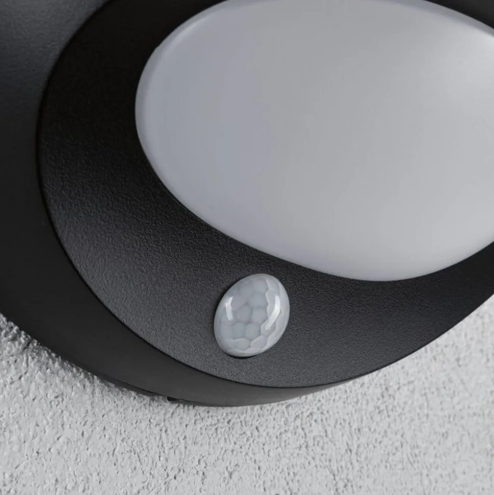Paulmann udendørs LED-væglampe Sorova, sensor, antracit