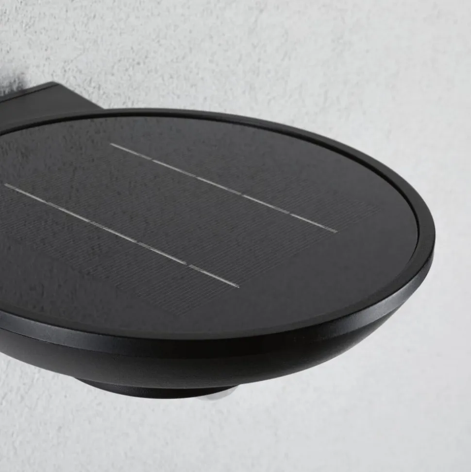 Paulmann udendørs LED-væglampe Bordola, sensor, antracit