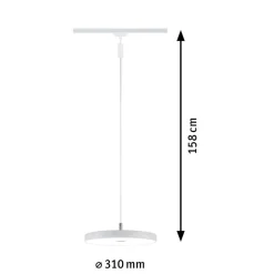 Paulmann URail Hildor LED-pendel hvid 4.000 K