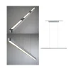 Paulmann URail LED-pendellampe Lento mat krom