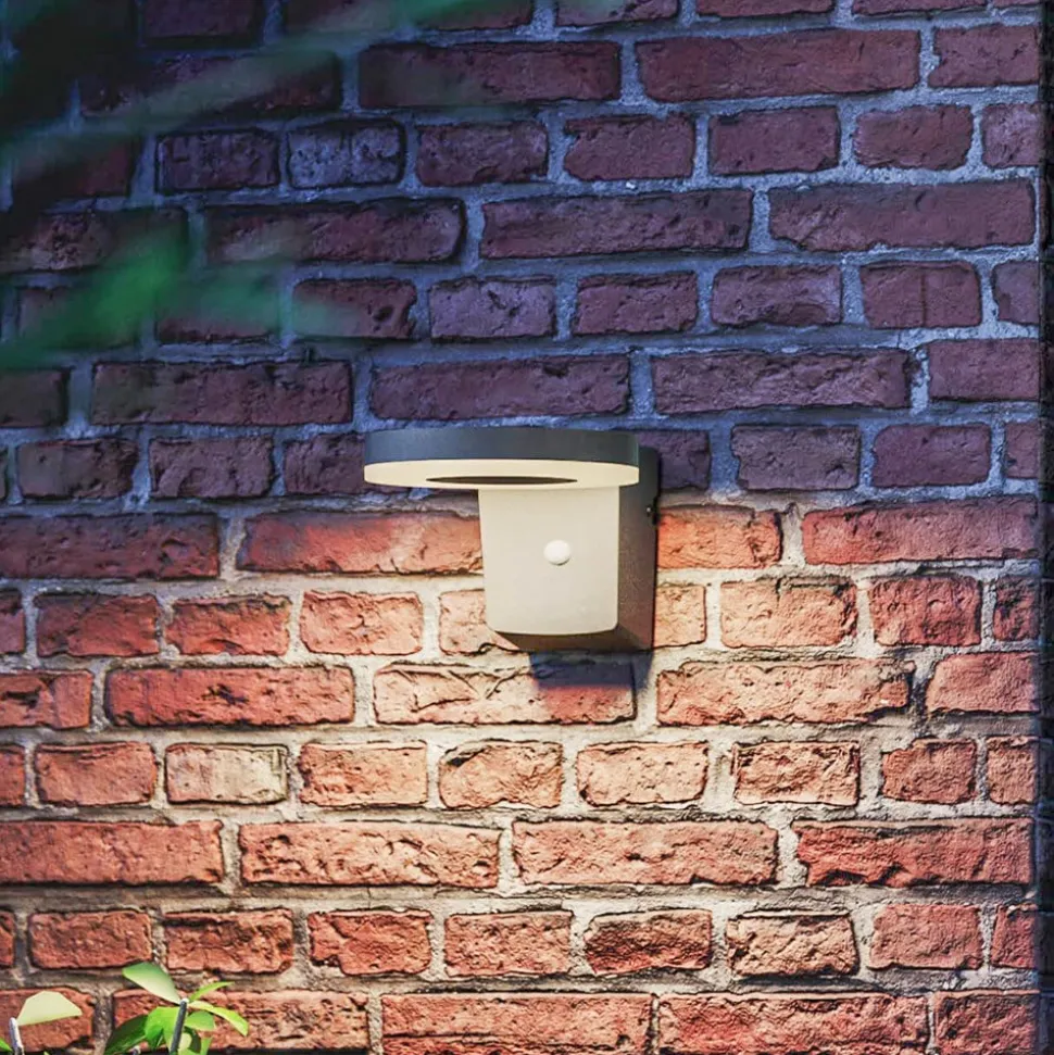 Philips LED-solcellelampe til vægmontering Zonal, Ø hoved 16 cm