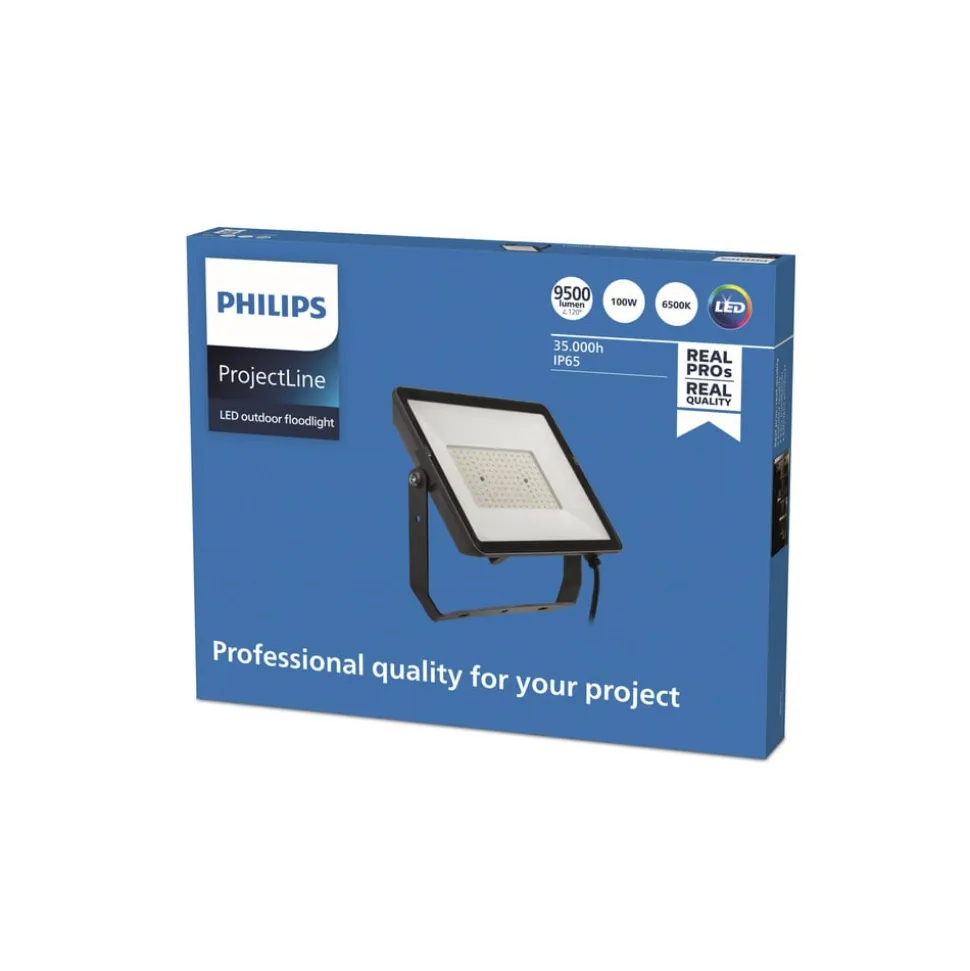 Philips ProjectLine udendørs LED-spot 6.500K 100W