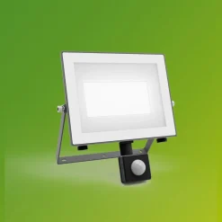 Philips udendørs LED-spot Lois UE Sensor, 24 W, 5.000 K IP65