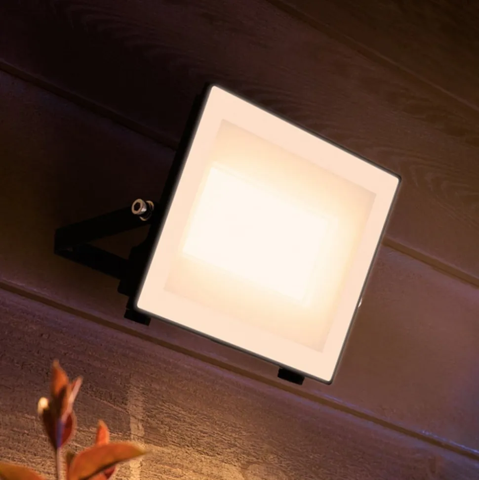 Philips udendørs LED-spot Lois UE flood, 24 W, 3.000 K, IP65