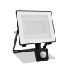 Philips udendørs LED-spot Lois UE Sensor, 14 W, 5.000 K IP65