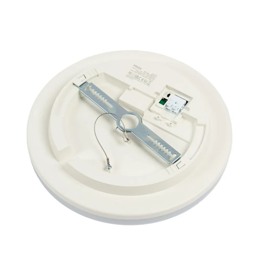 Prios LED-loftlampe Artin, Ø 28 cm, hvid, CCT, IP65