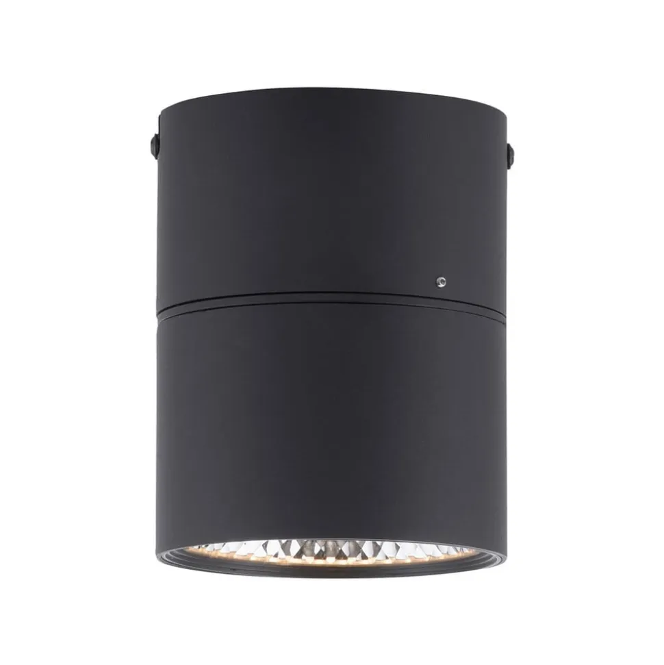 PURE Nola LED-loftlampe, 1 lyskilde, sort