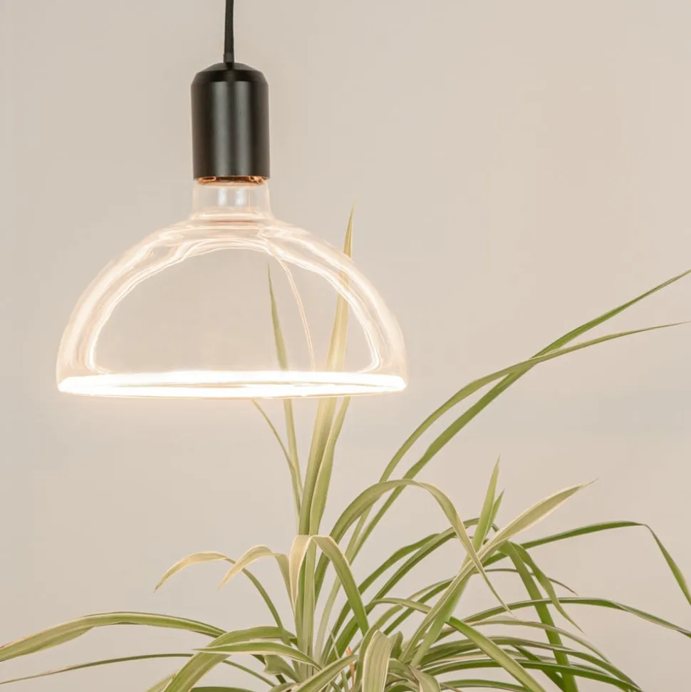 SEGULA LED-pære Bowl E27 6,2 W ambient dæmpbar