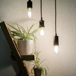 SEGULA Tube LED-pære E27 8 W 2.700 K klar, dæmpes