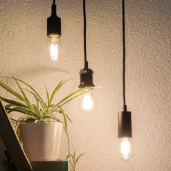 SEGULA Tube LED-pære E27 8 W 2.700 K klar, dæmpes