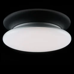 SLC LED-loftlampe dæmpbar IP54 Ø 30 cm 4.000 K