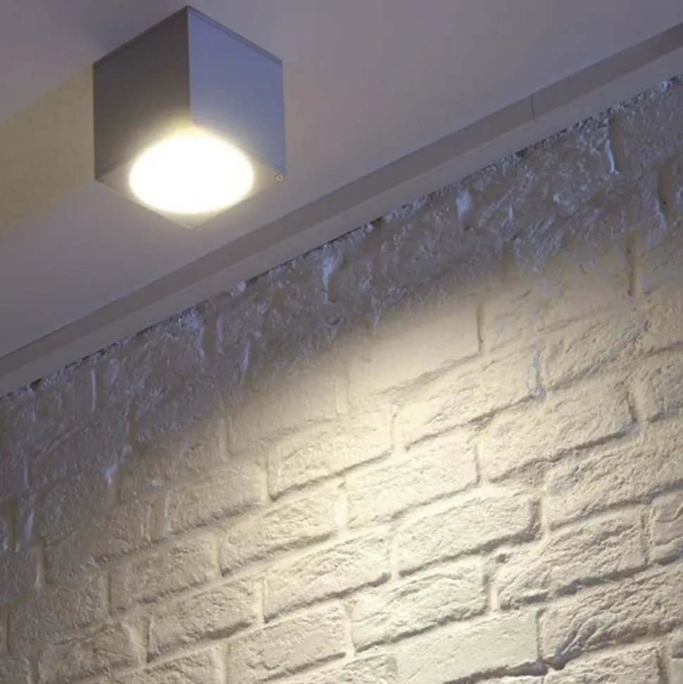 SLV Big Theo udendørs loftslampe, grå