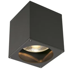 SLV Big Theo udendørs loftslampe, antracit