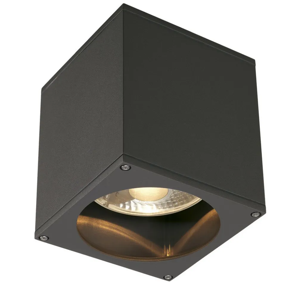 SLV Big Theo udendørs loftslampe, antracit