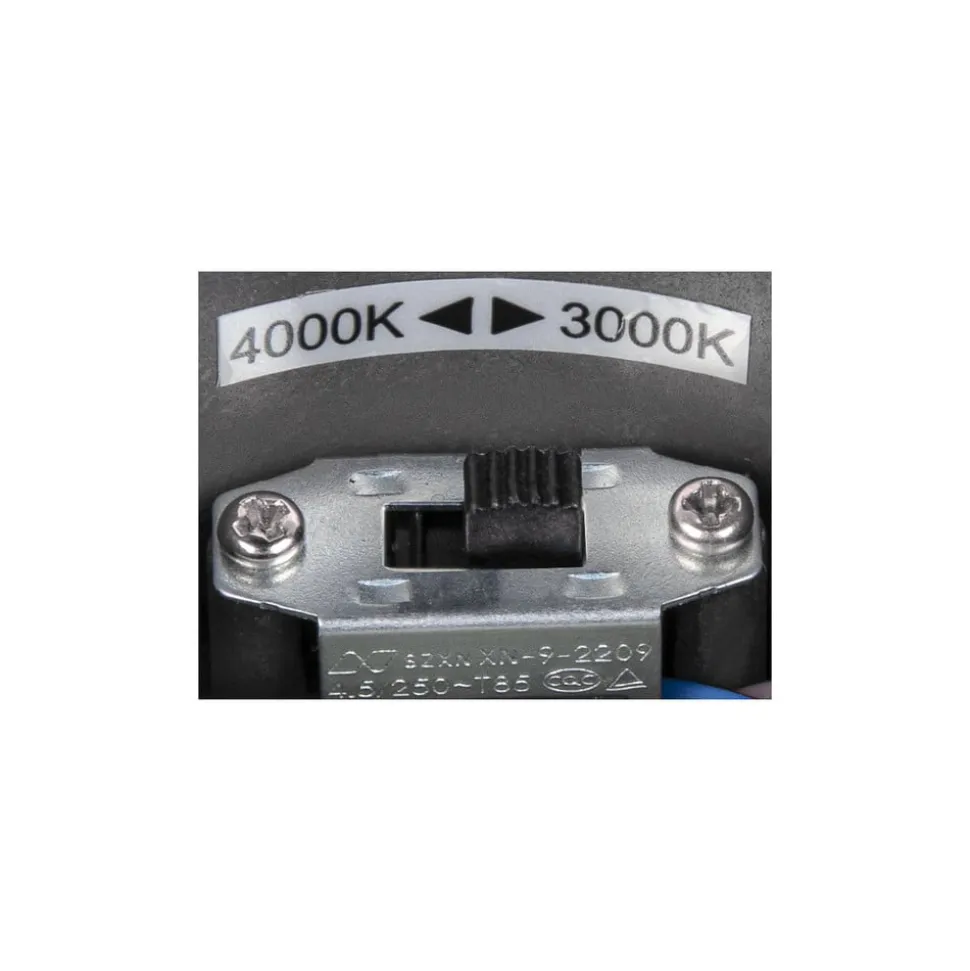 SLV Ovalisk LED udendørs loftslampe CCT