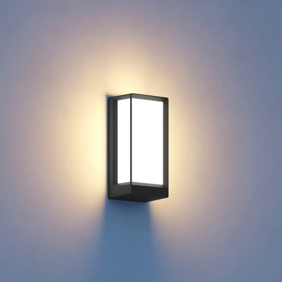 STEINEL L 42 C udendørs LED-væglampe antracit