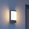 STEINEL L 271 DIGI C udendørs LED-væglampe