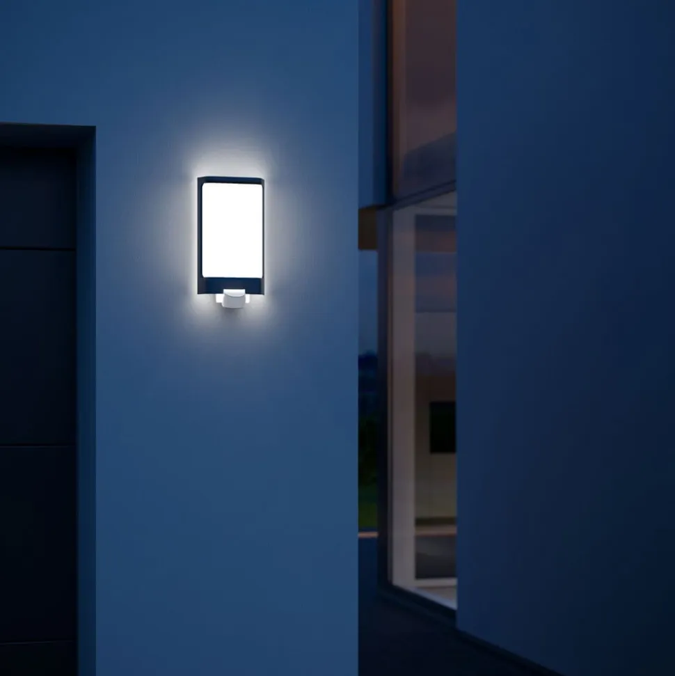 STEINEL L 240 S LED-væglampe med sensor, antracit