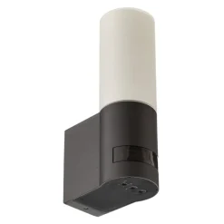 STEINEL L 605 S udendørs LED-væglampe, sensor IP44