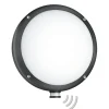 STEINEL L 330 S udendørs LED-væglampe, sensor