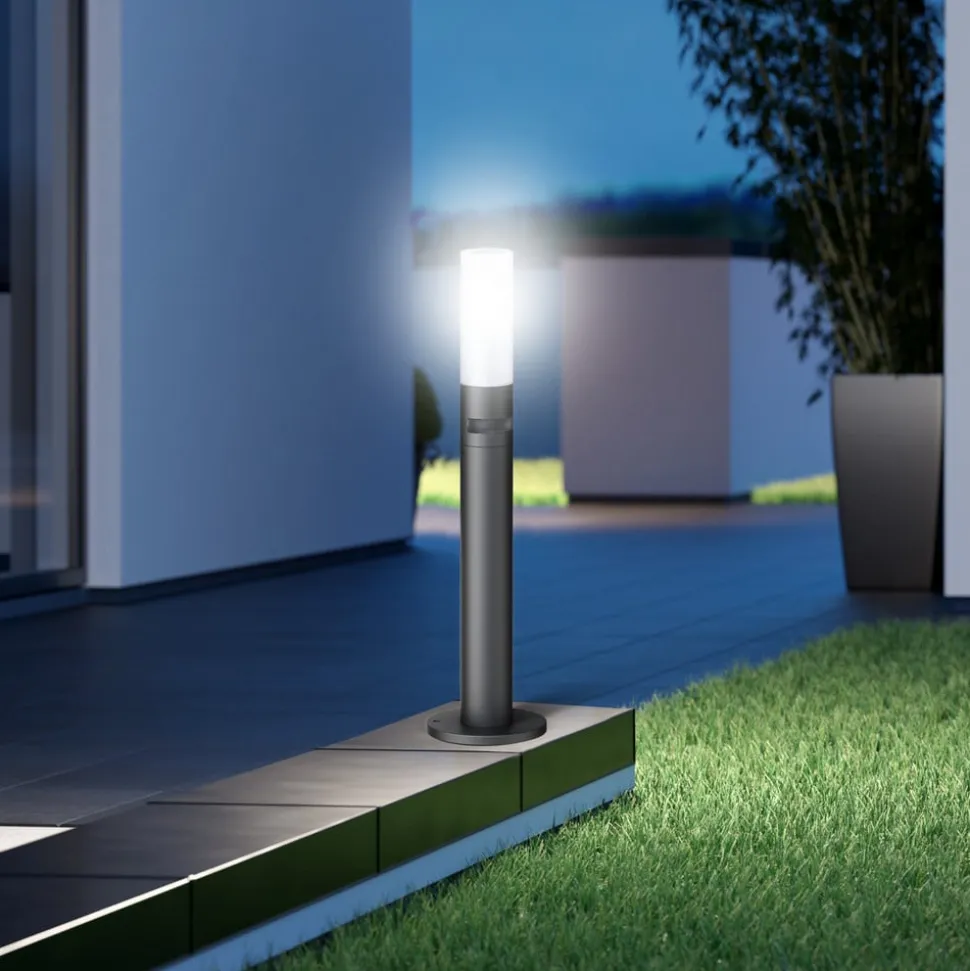 STEINEL LED-gadelampe GL 65 S med bevægelsessensor