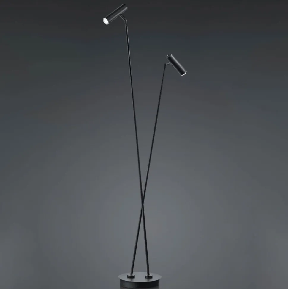 Tom LED-gulvlampe, 2 lyskilder, sort