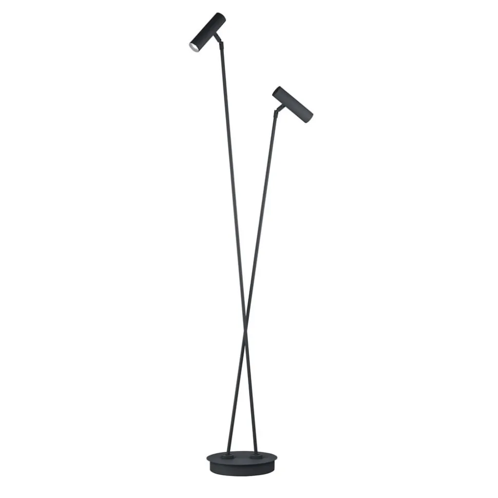 Tom Pro LED-gulvlampe, sort, 2 lyskilder, CCT, dæmper