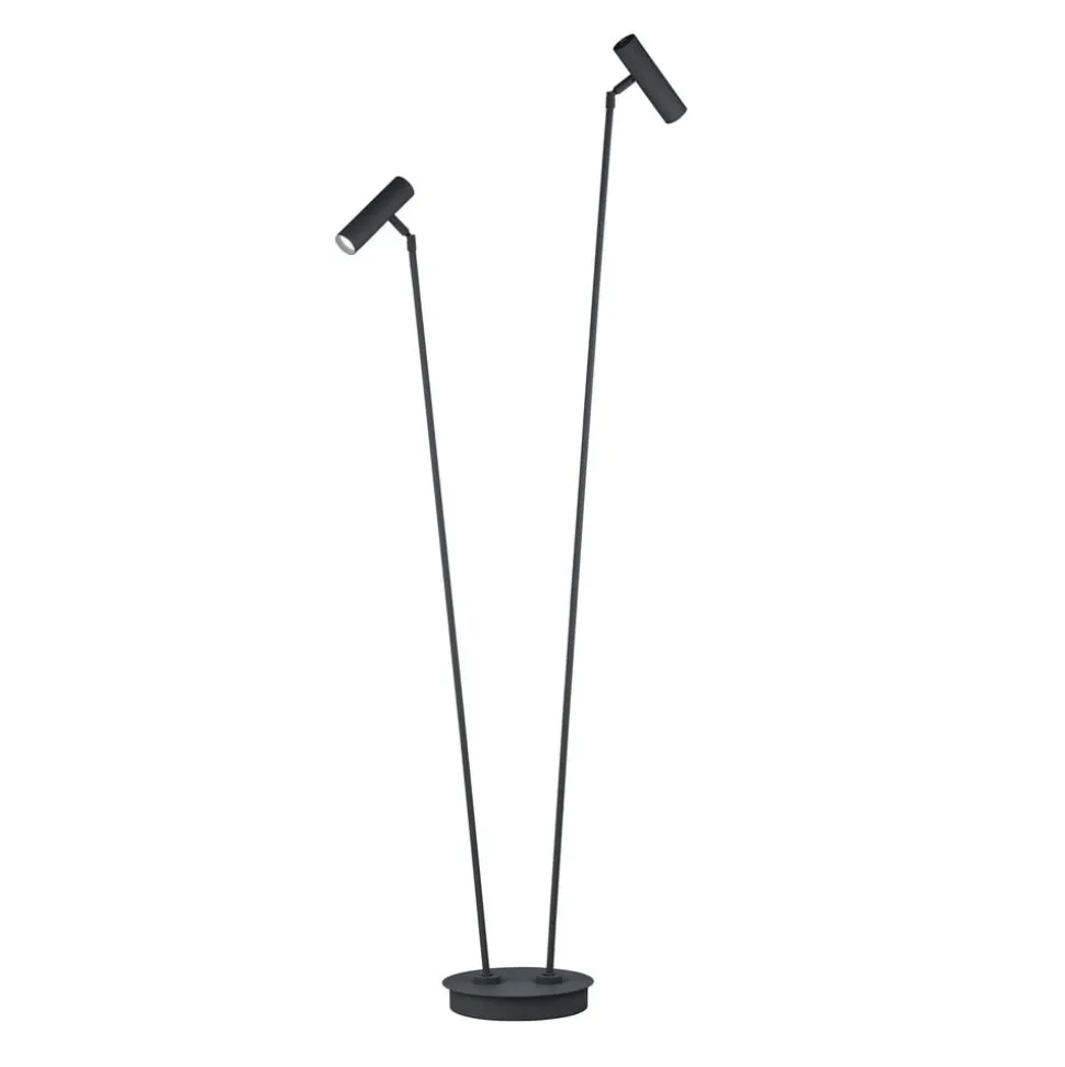 Tom Pro LED-gulvlampe, sort, 2 lyskilder, CCT, dæmper