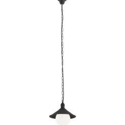 Udendørs hængelampe Enduro, sort, stål, glas, IP44, E27