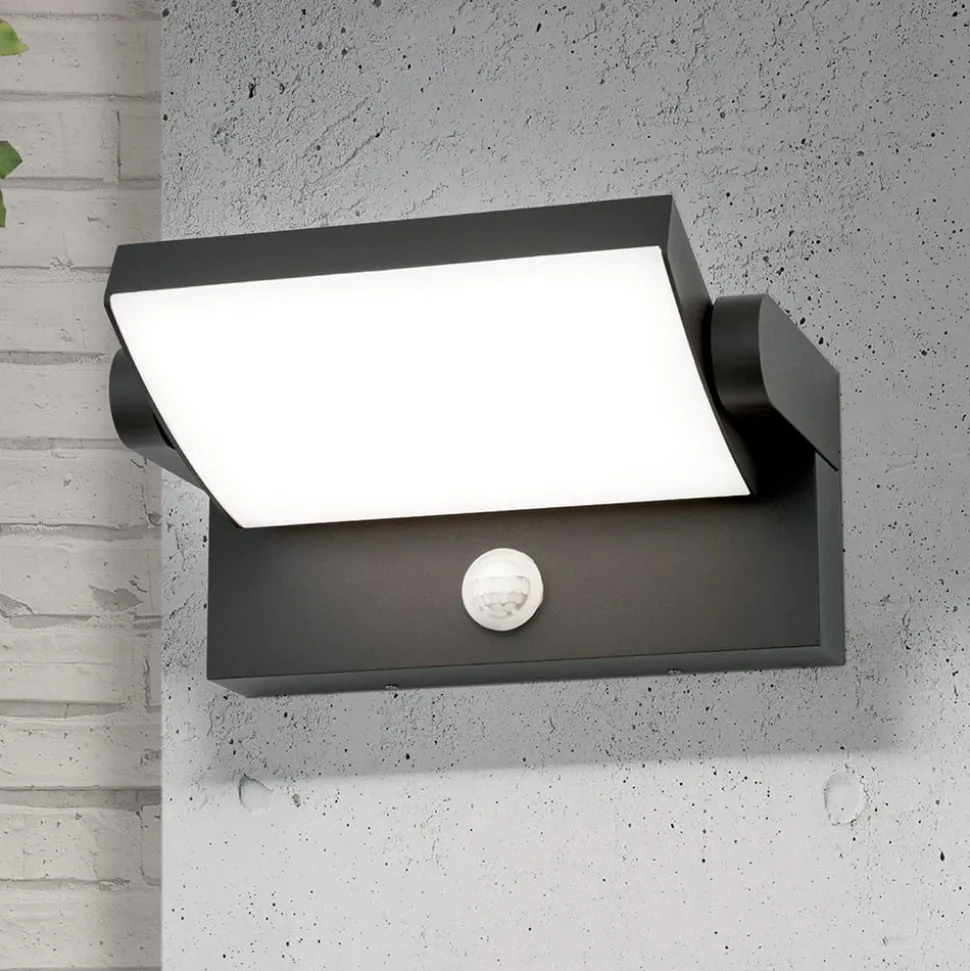 Udendørs LED-væglampe Ginger, sensor, antracit, IP54